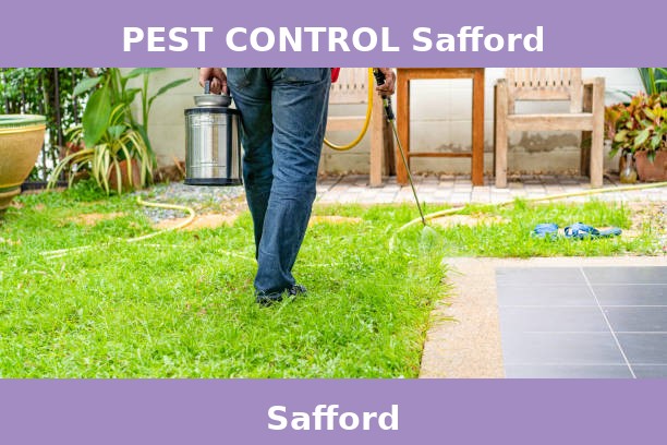 PEST CONTROL Safford